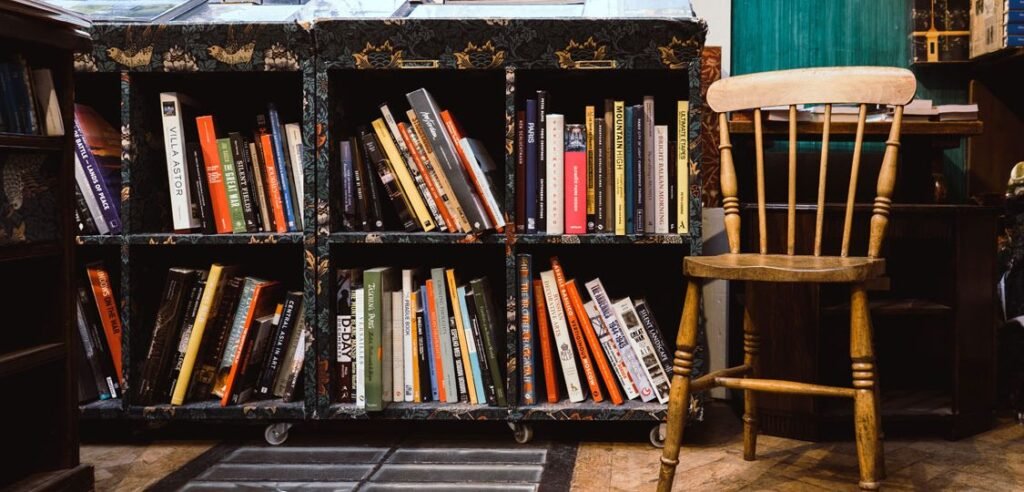 5 Attractive Bookstore WordPress Themes